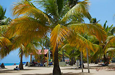 puertoRico_image