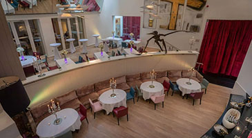 The Morrison Dublin, Curio Collection by Hilton